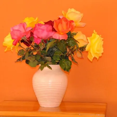 Stergia Appartement *